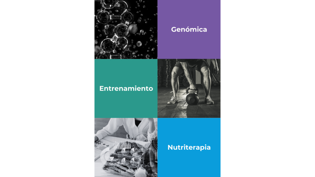 copia de oryg3n presentación 2026 copia