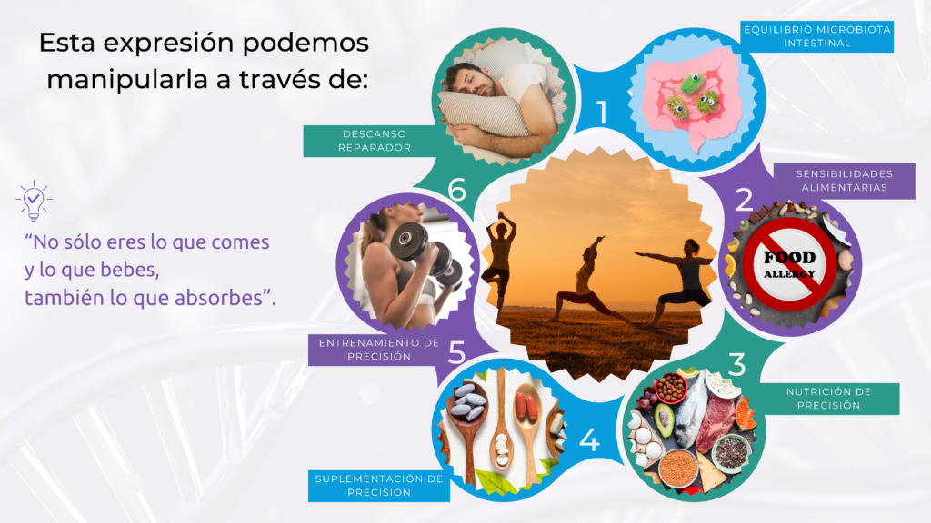 copia de oryg3n presentación 2026 copia 2