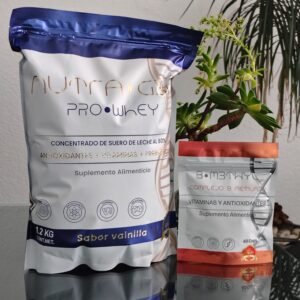 protocolo 3: recompose 2