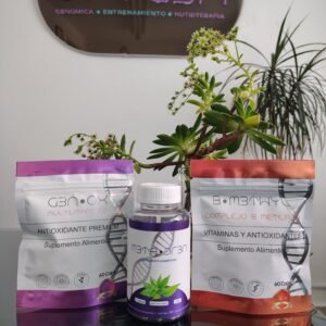 protocolo 5: performance 2